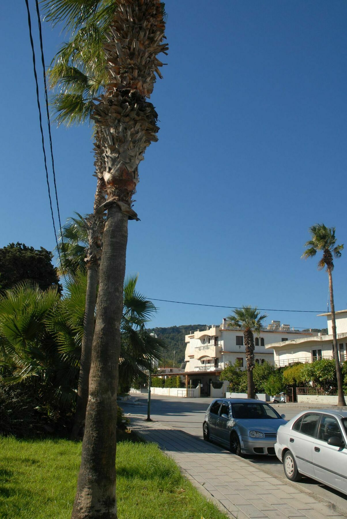 יאליסוס Takis Hotel Apartments מראה חיצוני תמונה